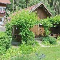 Ganze Wohnung, Haus am Waldrand - Ferienwohnung Augustin - Ferienwohnung in Grafenau, Ostbayern