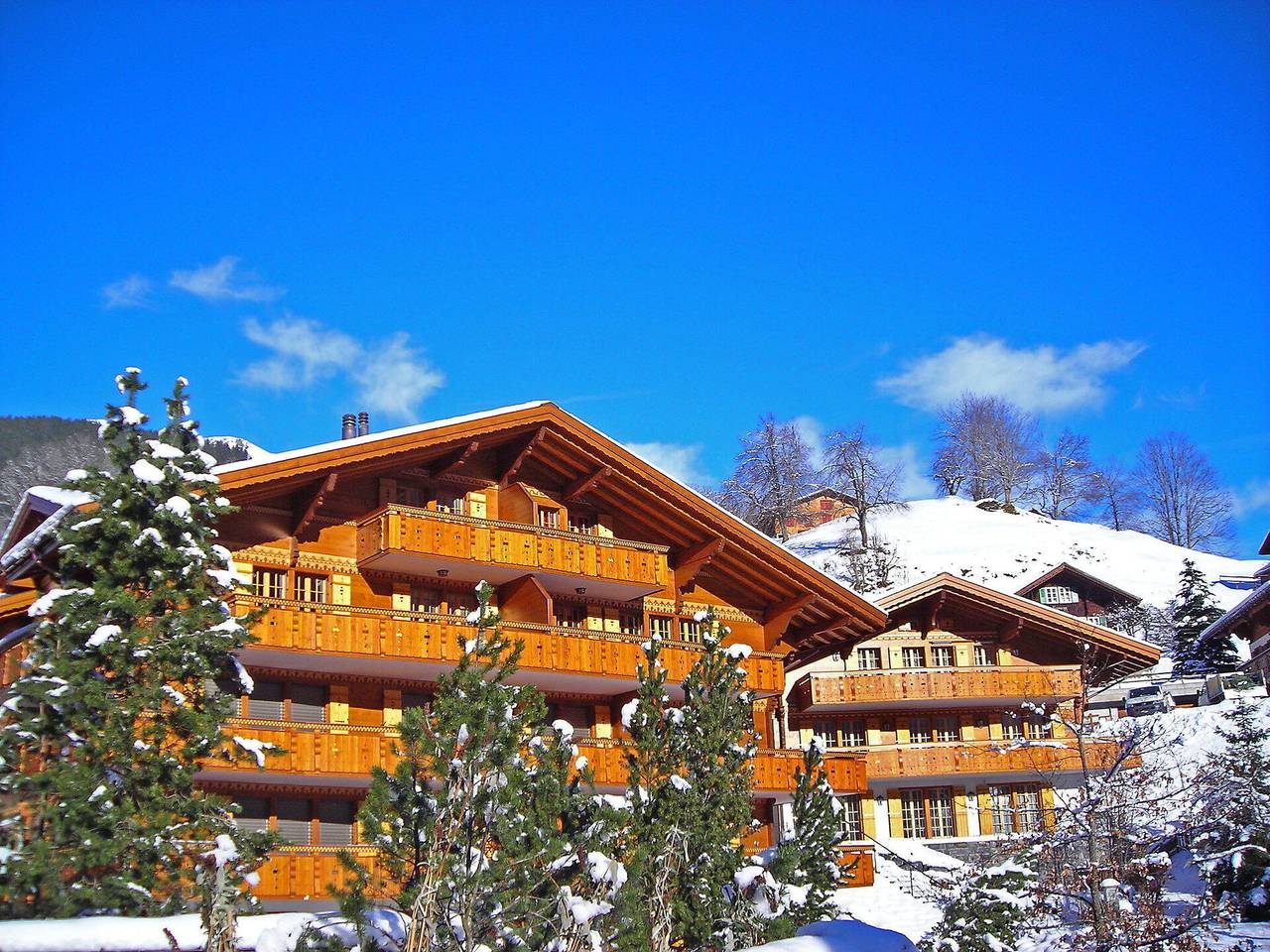 Entire apartment, Grindelwald 260 - Chalet Smaragd 260.3 in Grindelwald, Verwaltungskreis Interlaken-Oberhasli
