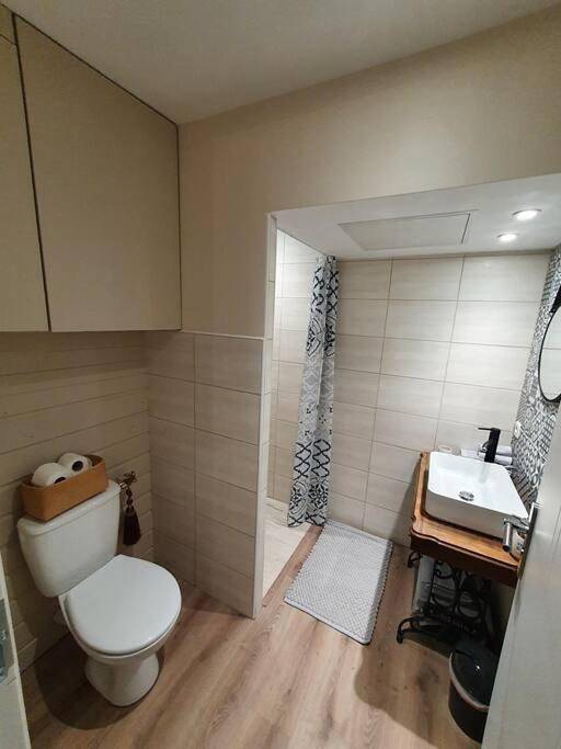 Appartement entier, Charmant appartement au calme in Saint-Romain-la-Motte, Région de Roanne