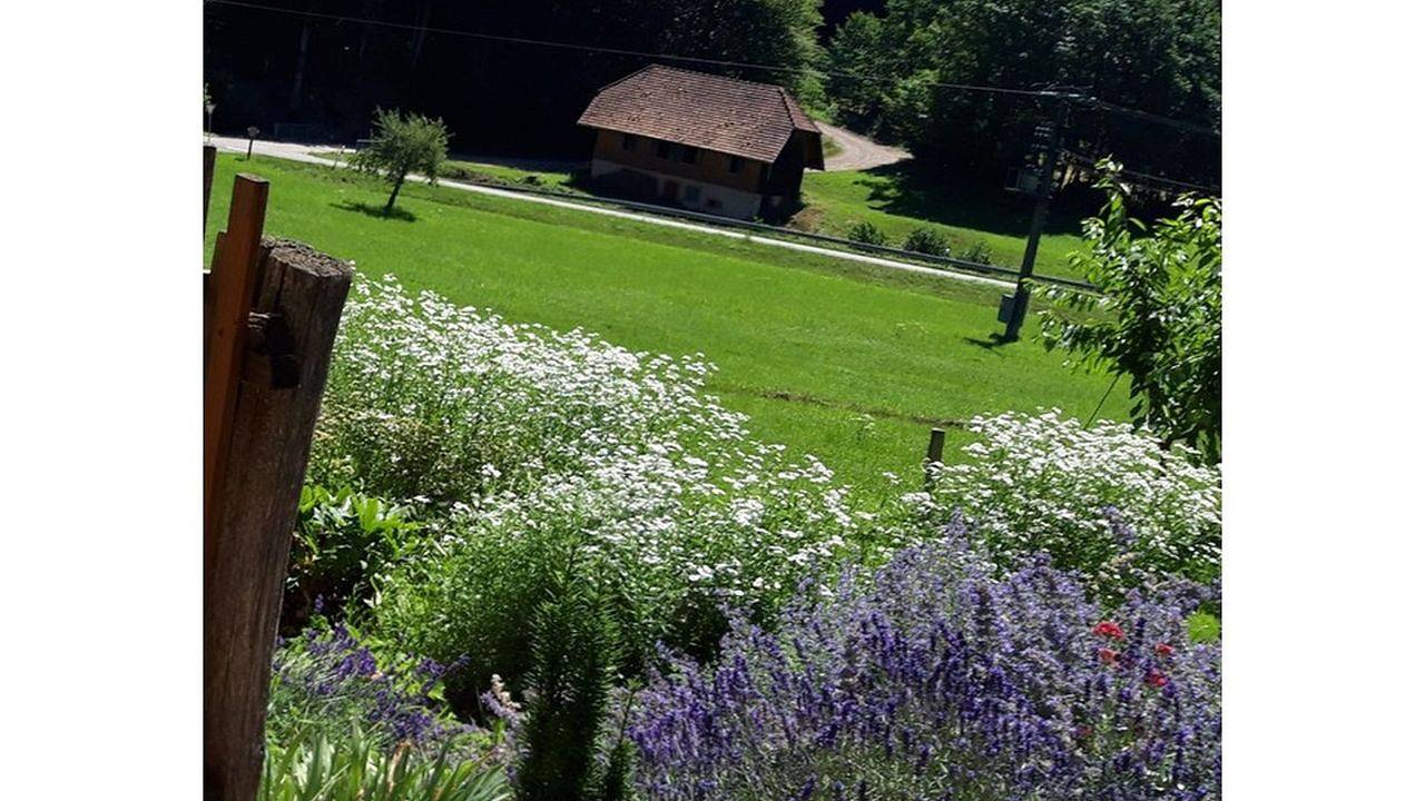 Ganze Ferienwohnung, Ferienwohnung für 2 Personen (30 m²) in Schuttertal in Schuttertal, Mittlerer Schwarzwald