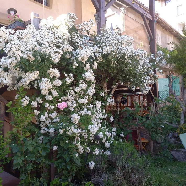 Location de vacances pour 2 personnes, avec jardin à Saint-Antoine-l'Abbaye - 2