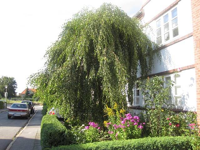 Ganze Ferienwohnung, Ferienwohnungen Friedrichsen - Ferienwohnung-1-Raum-Hebbelstraße - 01 in Husum, Nordfriesland