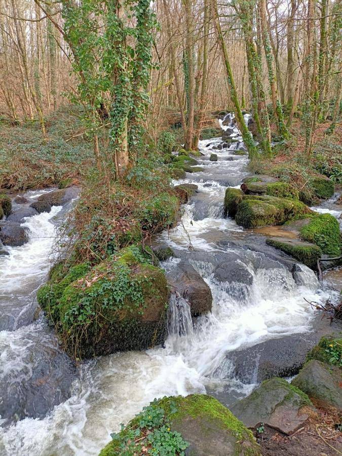 Location de vacances pour 14 personnes, avec jardin ainsi que piscine et vue, animaux acceptés dans Vire Normandie - 3