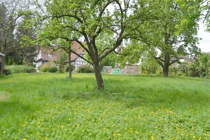 Location de vacances pour 9 personnes, avec Jardin et Vue à Cleebourg - 2
