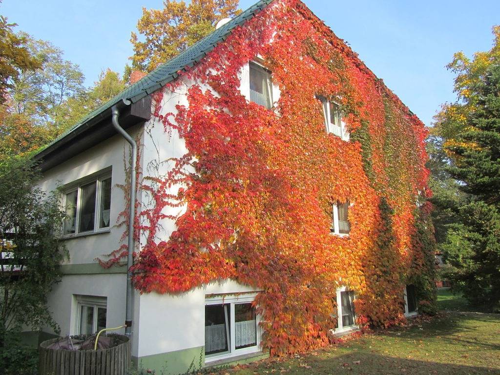 Reizende 2-Zimmer-Wohnung mit Terrasse, 200 m vom Großen Wentowsee entfernt in Gransee, Ruppiner Seenland