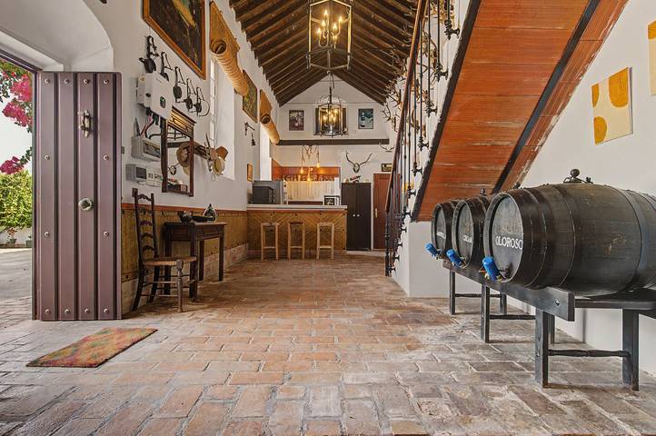 Holiday Home 'Finca Molino El Vado' with Mountain View, Wi-Fi and Air Conditioning in Villamartín, White Villages