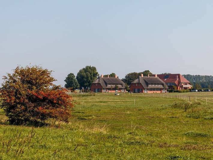 Bauernhaus für 2 Personen, mit Garten und Sauna, mit Haustier in Ummanz - 4