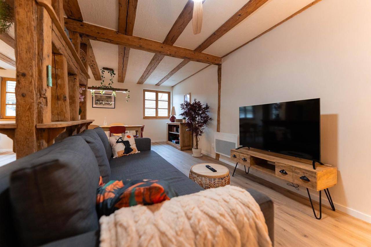 Appartement entier, Zellenberg - Gite d'Ela in Zellenberg, Parc naturel régional des Ballons des Vosges