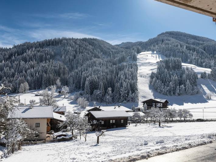 Vakantieappartement voor 5 personen, met terras, met huisdier in Wildschönau