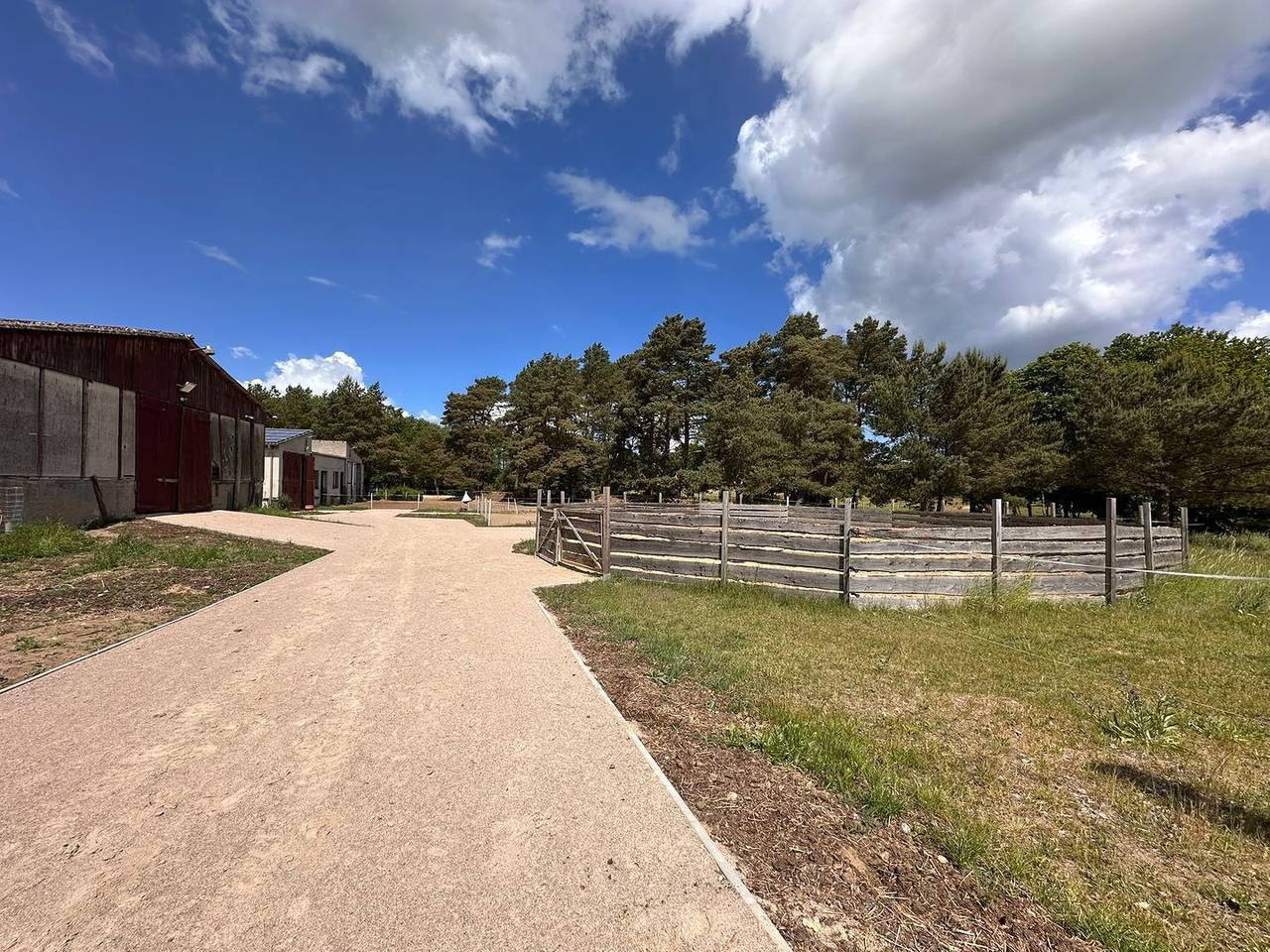 Ferienhof Eickhof: Entspannen und Reiten im idyllischen Warnow Gebiet in Warnow (bei Bützow), Naturpark Nossentiner/Schwinzer Heide