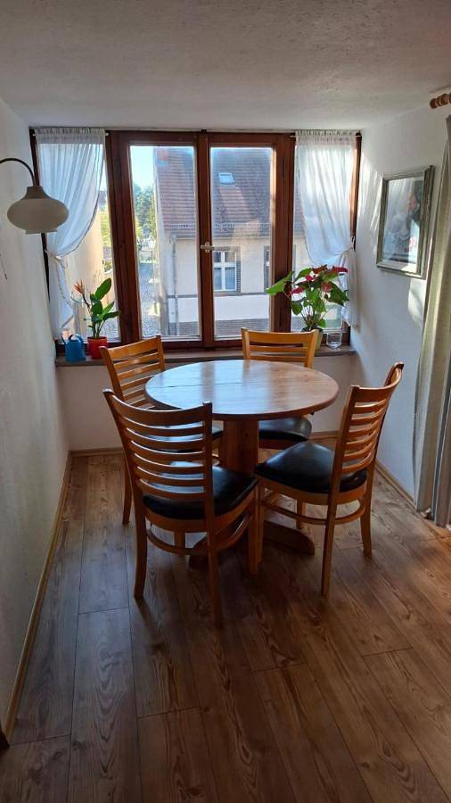 Ferienwohnung für 3 Personen, mit Garten, mit Haustier in Köpenick Berlin - 4