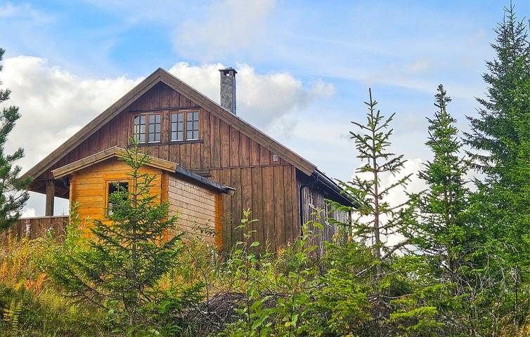 Ferienhaus für 8 Personen mit Whirlpool in Sigdal