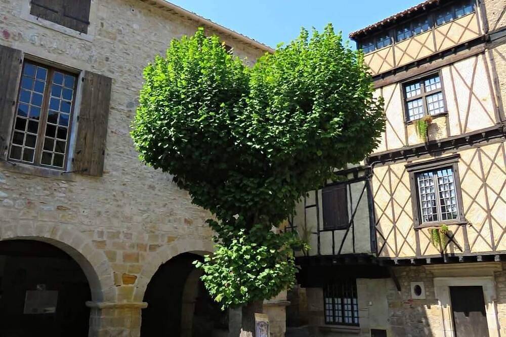 Maison De Nostradamus*** Occitanie Insolite in Alet-les-Bains, Région de Limoux