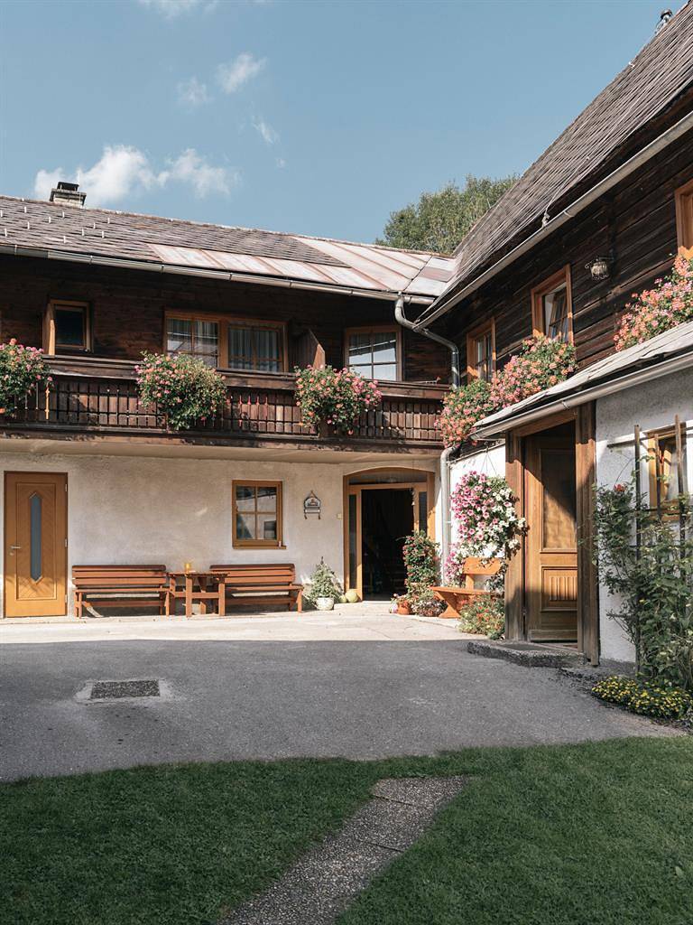 Ganze Ferienwohnung, 1. Appartement 1-2, Dusche oder Bad, Wc in Weng im Gesäuse, Gesäuse
