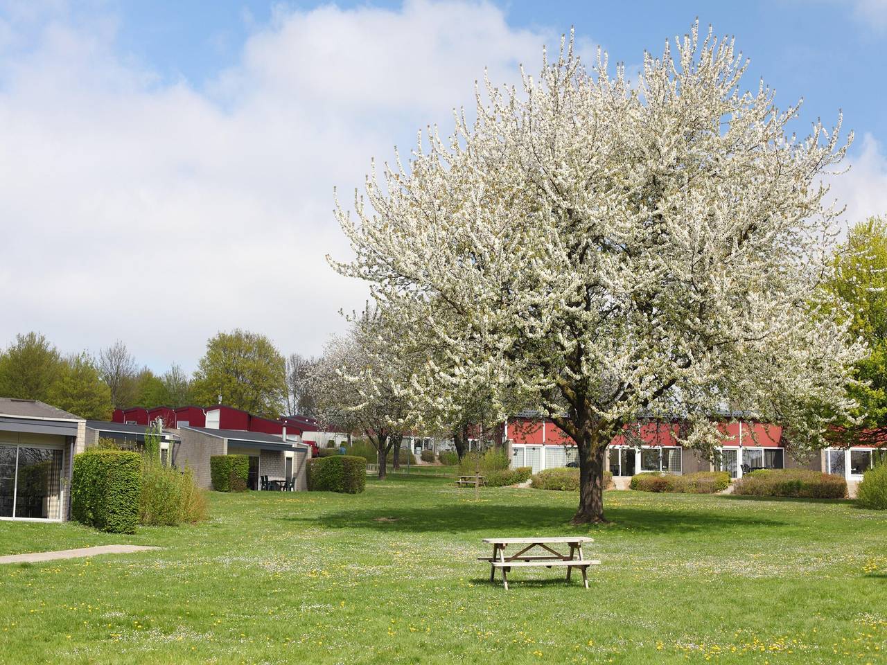 Bungalow nabij Valkenburg in Johan Walem, Limburg