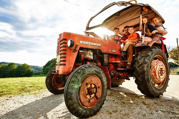 Bauernhof für 5 Personen, mit Balkon und Garten, kinderfreundlich in Niederbayern - 3