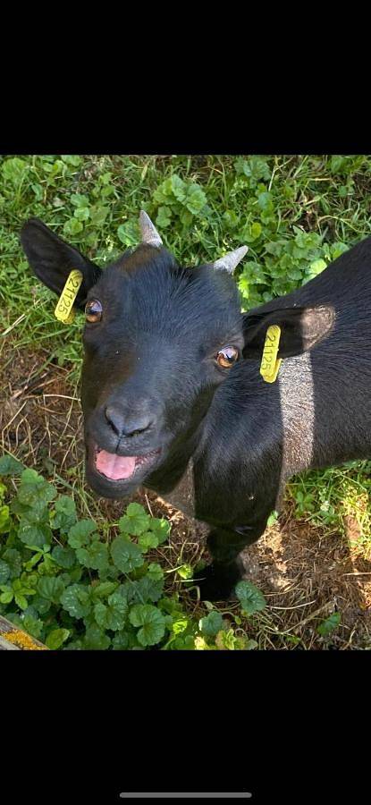 Location de vacances pour 5 personnes, avec jardin et vue à Auxonne - 2