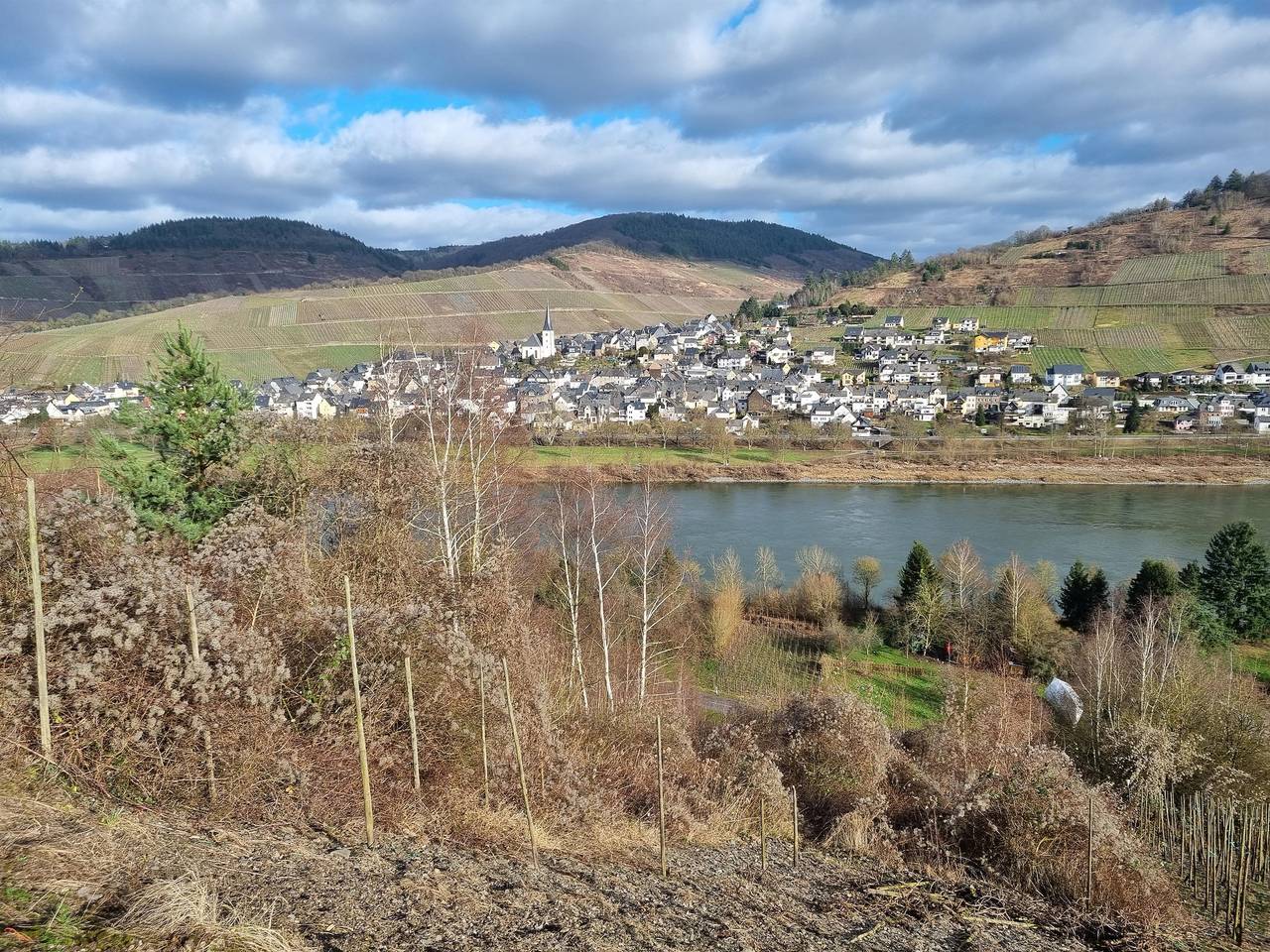 Gästehaus Natürlich-Mosel in Kövernig, Kröv