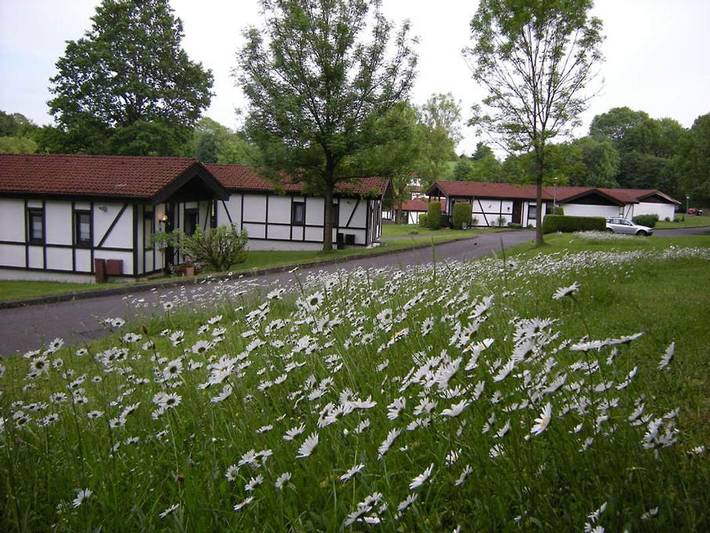 Bungalow für 4 Personen, mit Seeblick und Ausblick sowie Terrasse, mit Haustier an der Rhön - 3