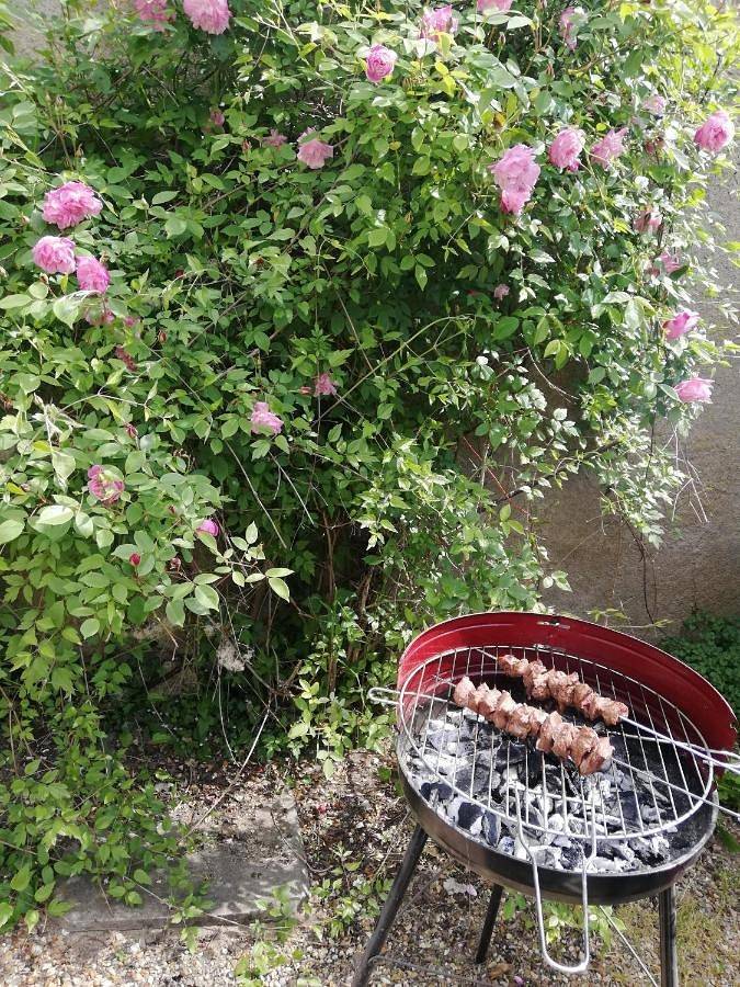 Location de vacances pour 5 personnes, avec jardin à Langeais - 4