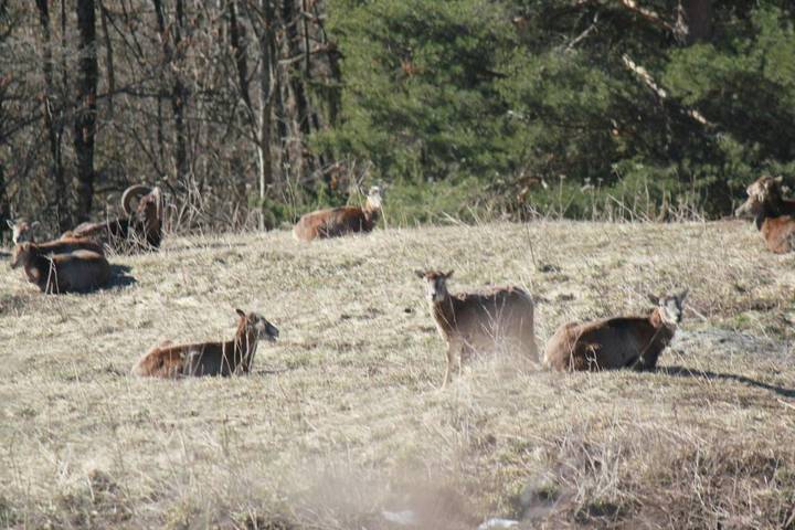 Location de vacances pour 7 personnes, avec terrasse à Aigueblanche - 3