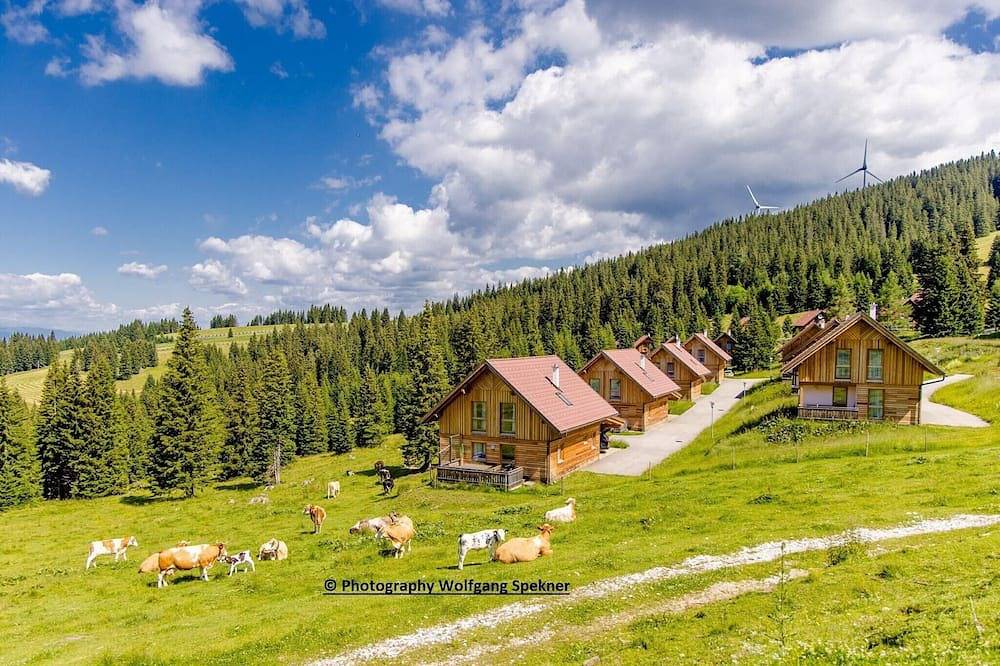 Chalet in den Alpen mit Sauna in Lavanttaler Alpen