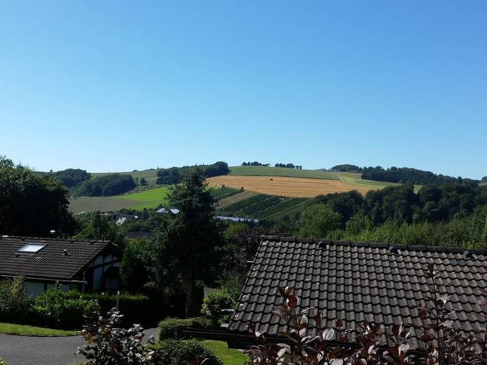 Ferienhaus für 4 Personen, mit Terrasse und Garten, kinderfreundlich in Meschede - 4