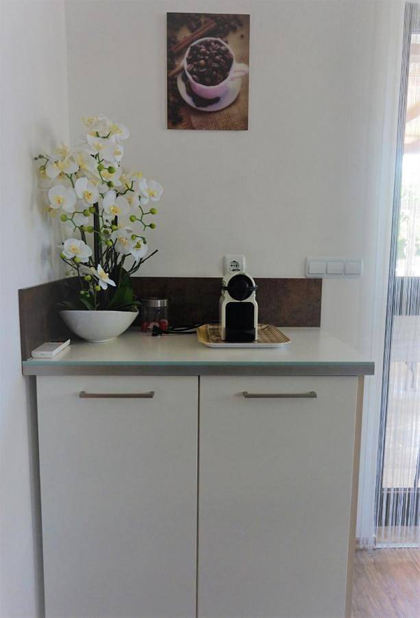 Ganze Wohnung, Apartment Sandro in Umag und Umgebung