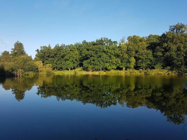 Location de vacances pour 2 personnes, avec Jacuzzi et Terrasse ainsi que Jardin et Piscine à Saint-Aubin-le-Cloud
