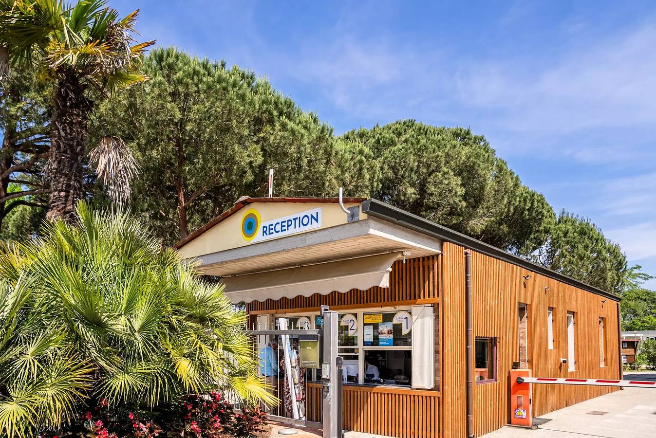 Camera Comfort Doppia Pet Allowed 2 people in Punta Marina, Ravenna Province