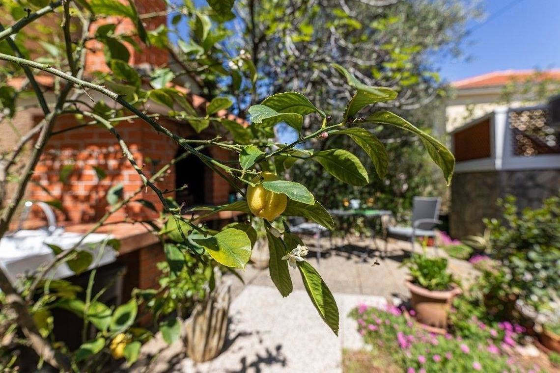 Ganze Ferienwohnung, Gržetić Anica in Silo (Krk), Krk