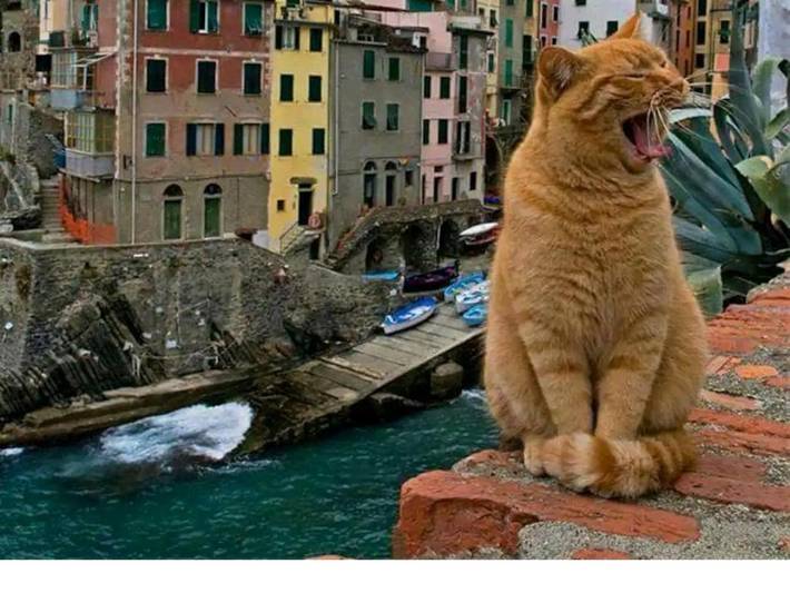 Appartamento per 5 persone, con Panorama a Riomaggiore