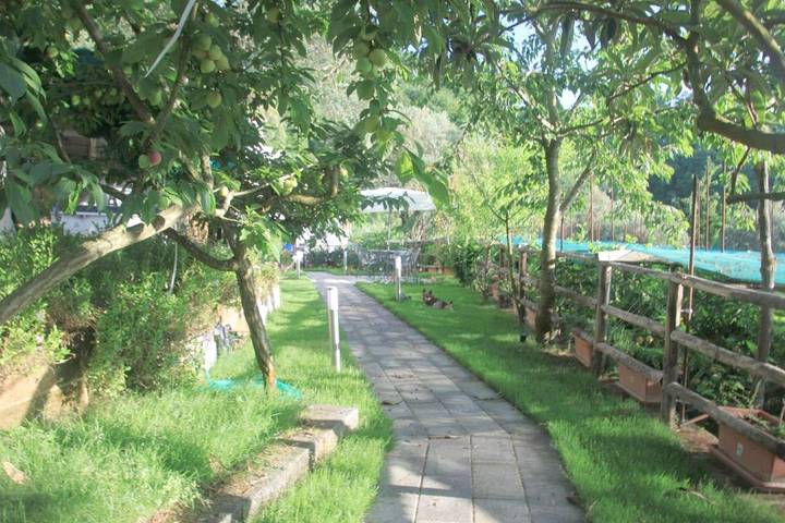 Location de vacances pour 2 personnes, avec piscine et jardin, animaux acceptés à Sorrento - 3