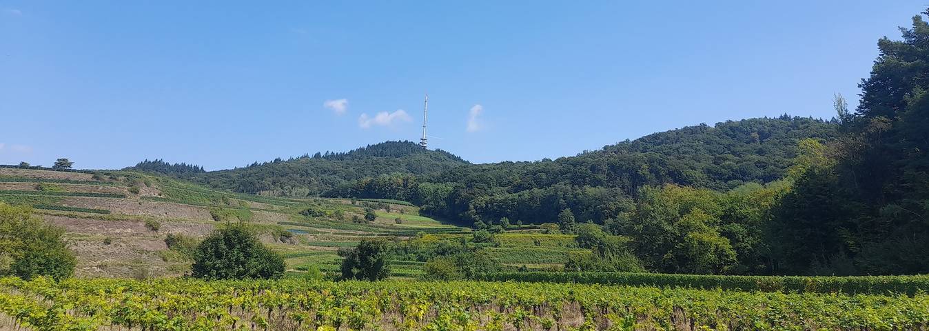 Apartamento entero, Apartamento D con vistas a la montaña, balcón y wifi in Vogtsburg - Schelingen, Vogtsburg