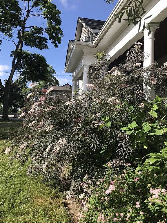Casa de vacaciones para 10 personas, con balcón y jardín - 1