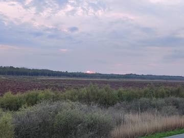 Feriehus til 8 Personer i Silkeborg, Bilde 4