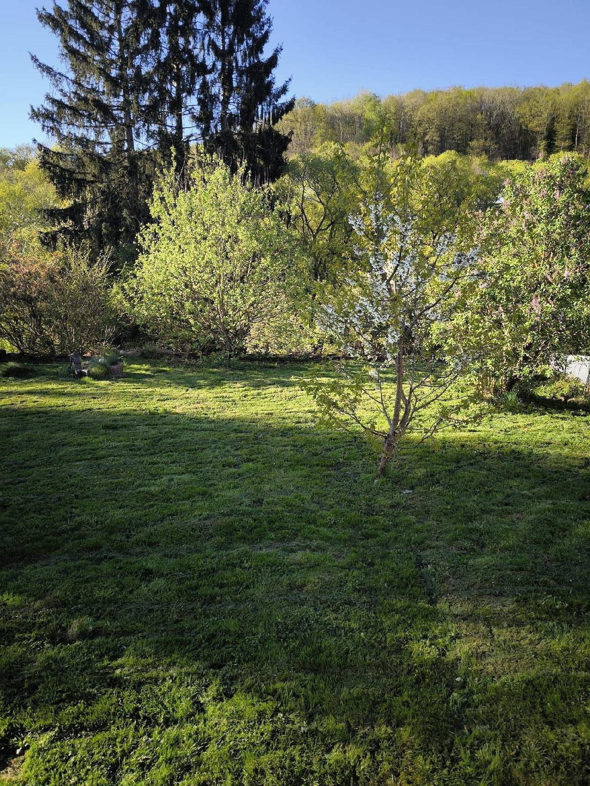 Ganze Ferienwohnung, Ferienwohnung "Ferienwohnung Sander" in Kirchen (Sieg), Altenkirchen & Umgebung