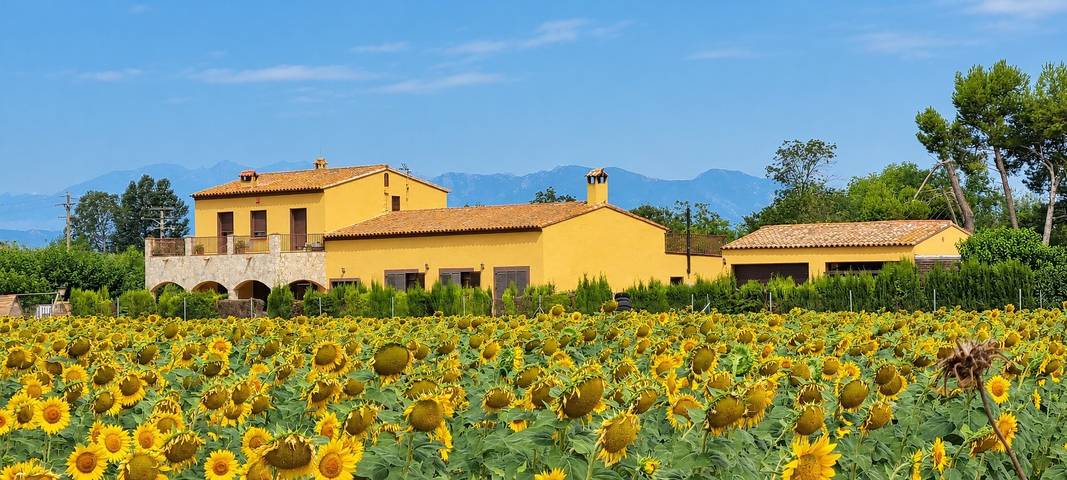 Maison de campagne 'Les Cabretes Vilanova De La Muga' avec vue sur la montagne in Peralada, Haut-Ampurdan