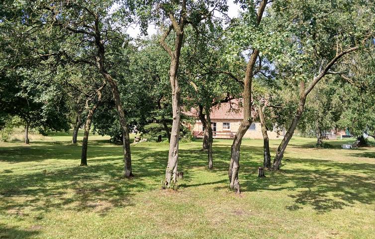 Ferienhaus für 5 Personen, mit Terrasse in Mecklenburgische Seenplatte - 2