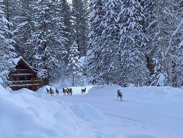 Log cabin for 8 people, with terrace and yard as well as hot tub in McCall