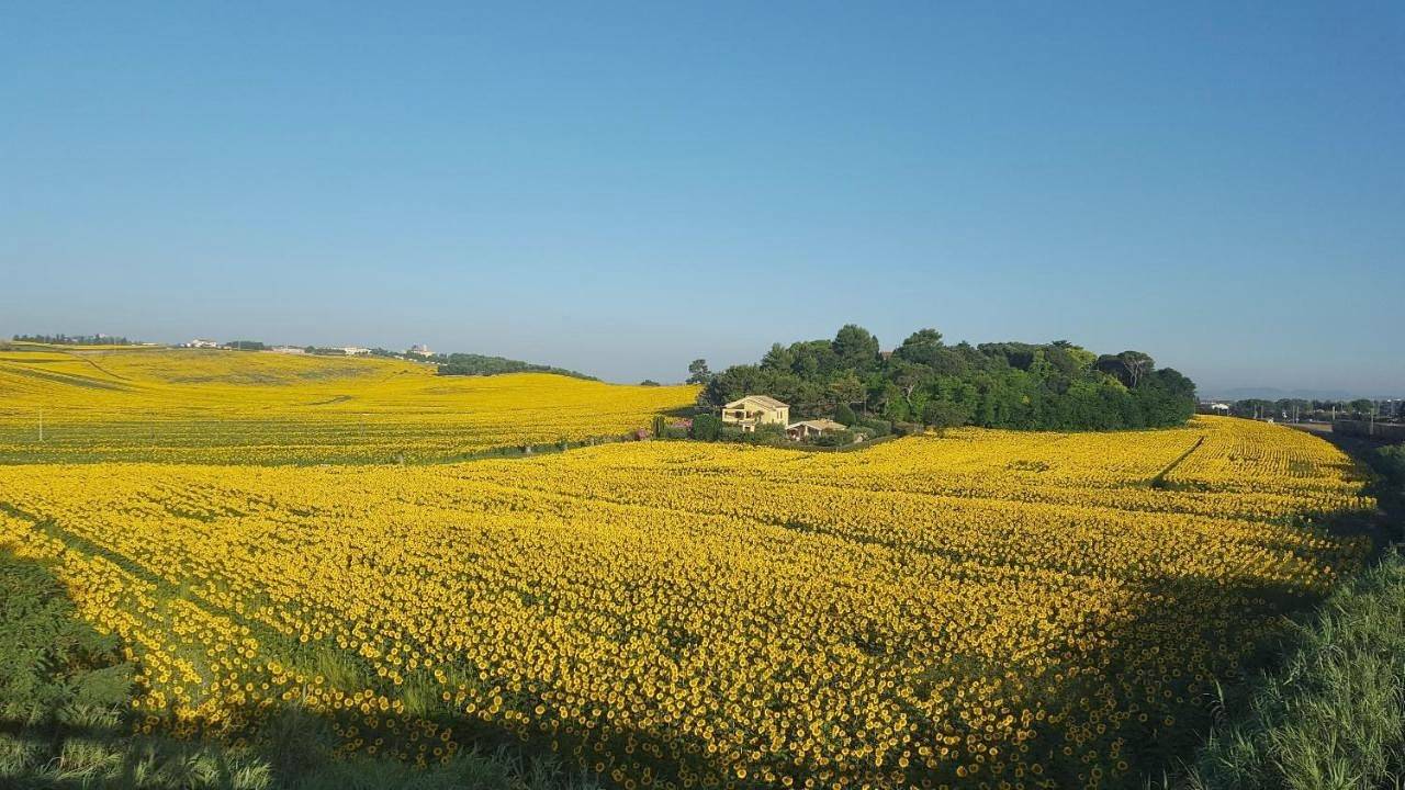 B&B Isa in Loreto, Provincia di Ancona