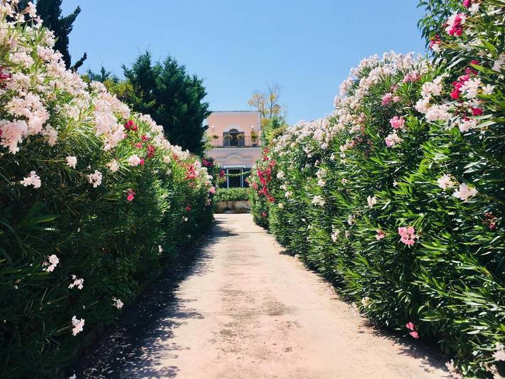 Chambre d’hôte pour 2 personnes, avec jardin et piscine à Trani - 4