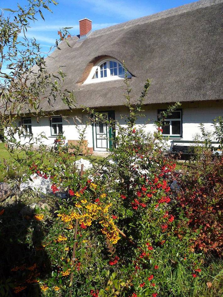 Ferienhaus für 12 Personen, mit Meerblick und Garten am Salzhaff