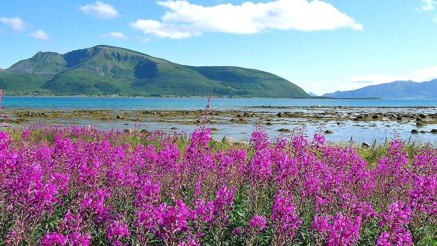 Ferienhaus für 8 Personen, mit Garten in Vesterålen - 4