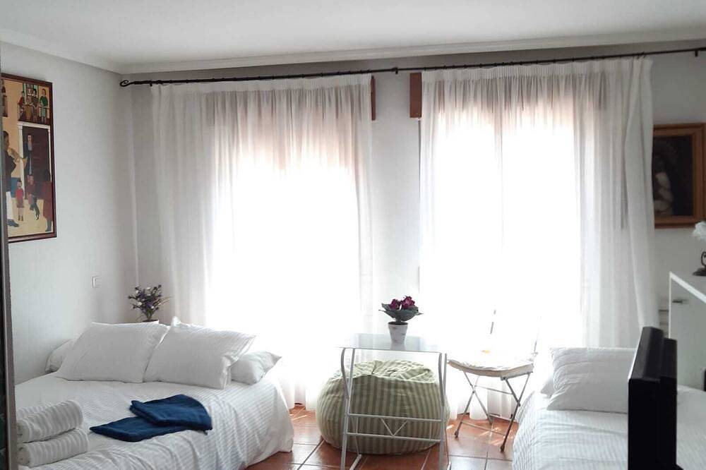 Apartamento entero, Pequeño y Coqueto apartamento en Riaza in Riaza, Provincia de Segovia