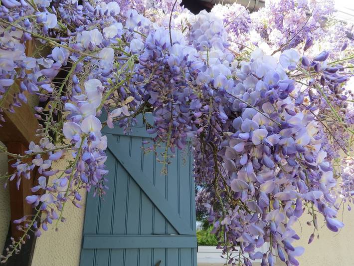 Gîte pour 6 personnes, avec terrasse et jardin, animaux acceptés en Seine-Maritime - 2
