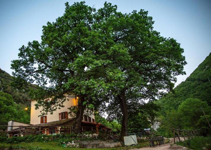 Casa vacanza per 2 persone, con Idromassaggio e Giardino nonché Piscina a Cerreto di Spoleto