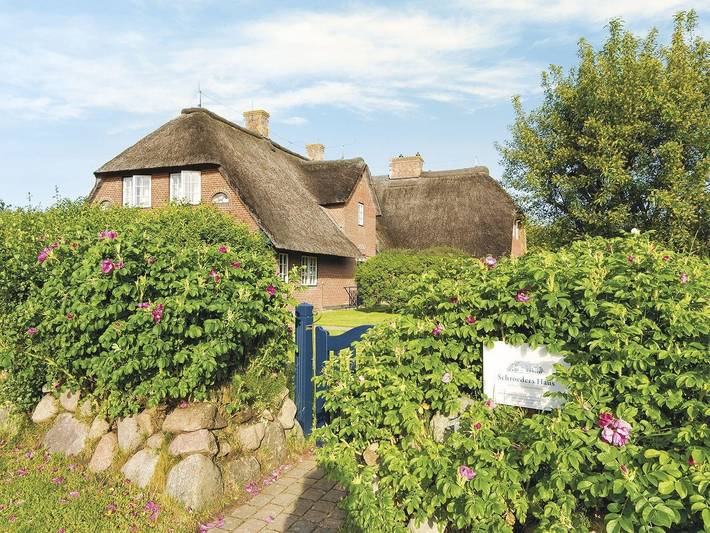Ferienhaus für 3 Personen, mit Terrasse - 1