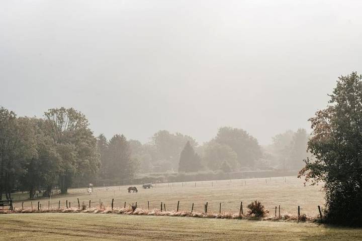 Gîte pour 6 personnes, avec vue à Roetgen - 4