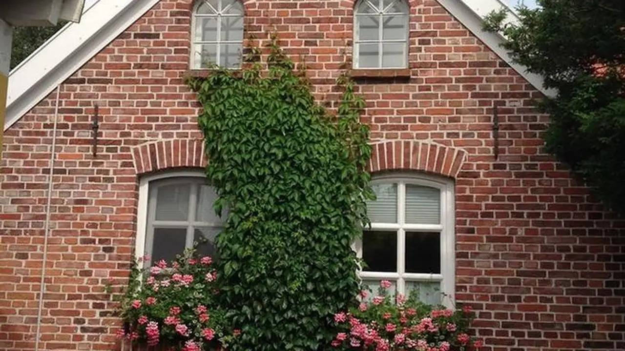 Ferienhaus für 4 Personen (70 m²) in Emden in Emden, Ostfriesland